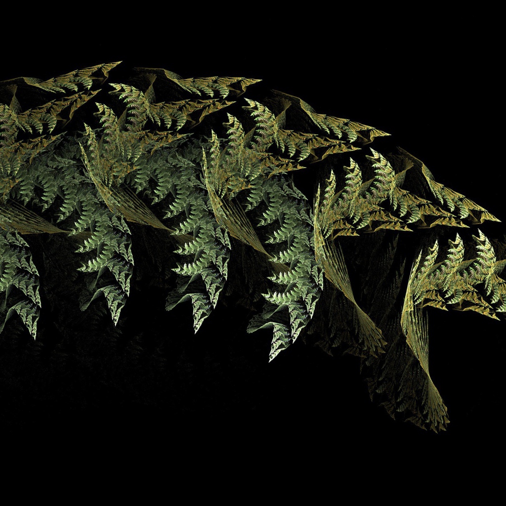 Листья папоротника