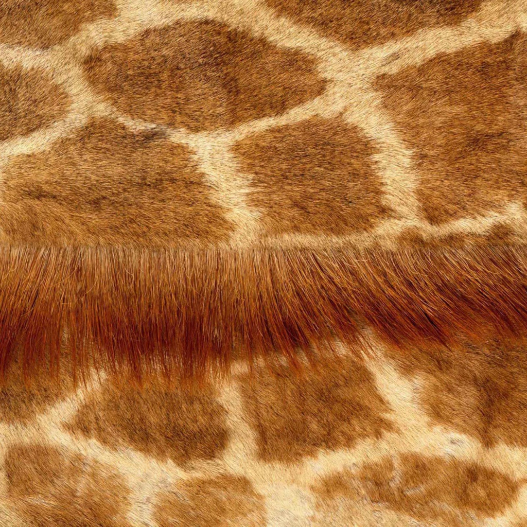 Кожа жирафа