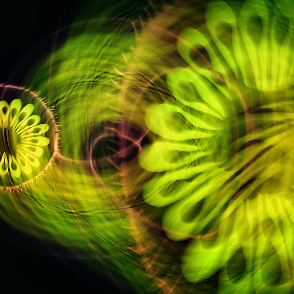 Зеленая абстракция