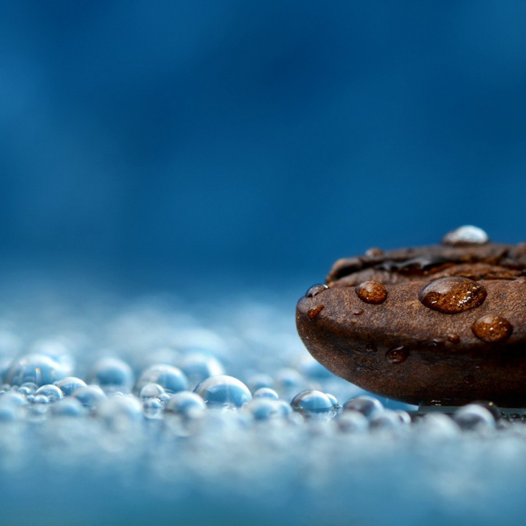 Кофейное зернышко