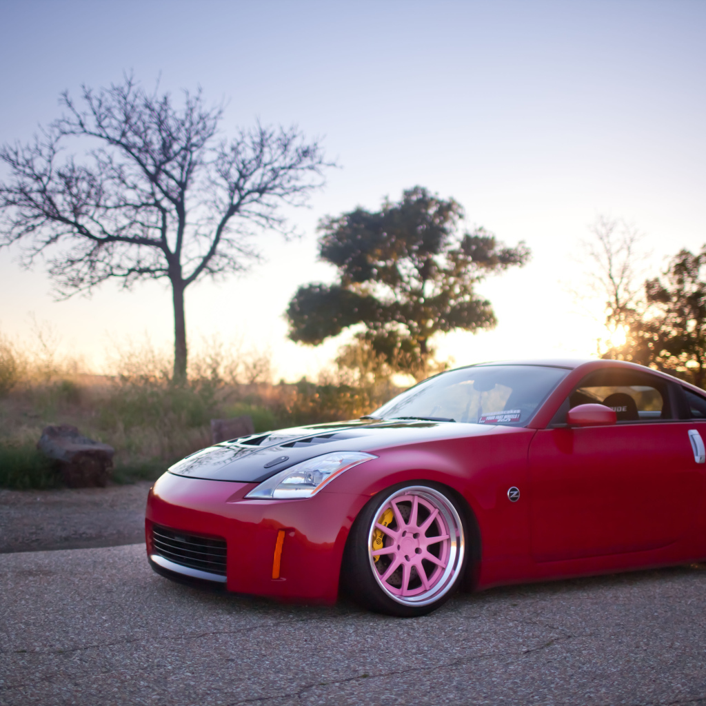 Бордовый Nissan 350Z