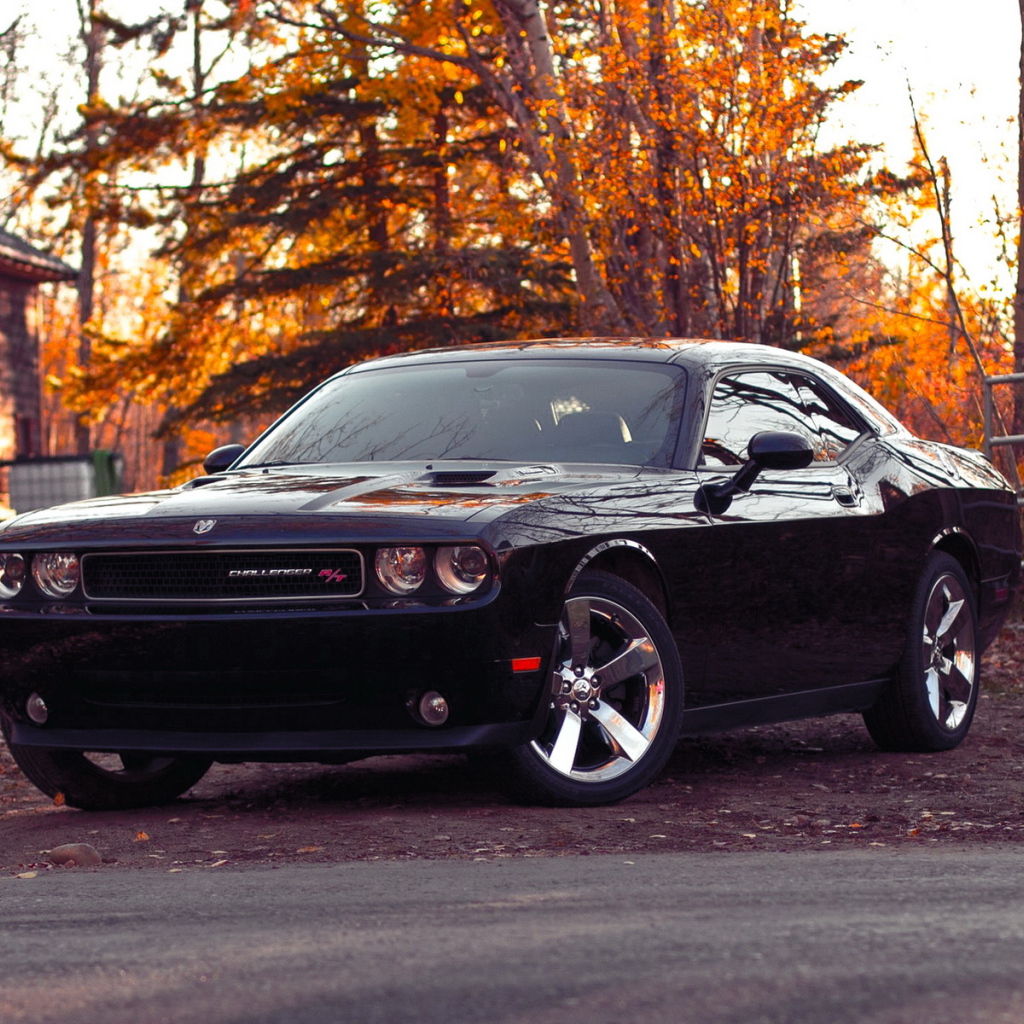 Dodge-Challenger