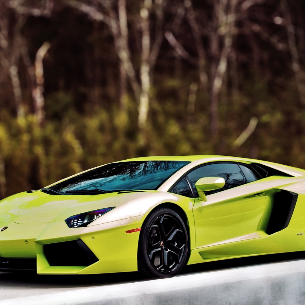 Lamborghini-Aventador Lp700