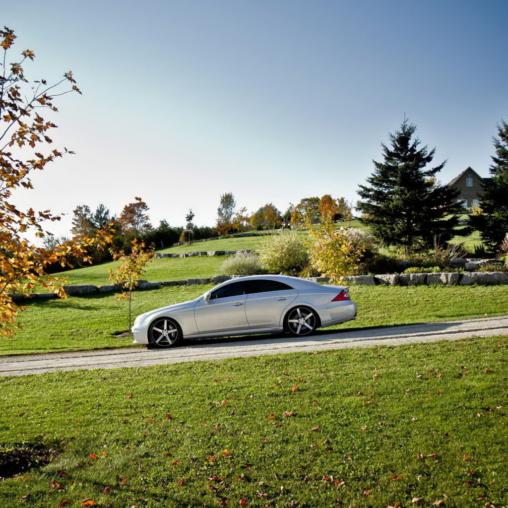 Mercedes Benz CLS на природе