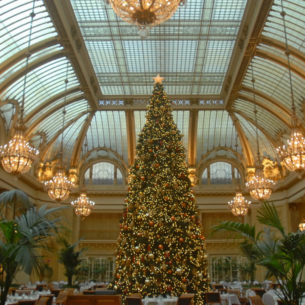 Новогодняя елка в зале