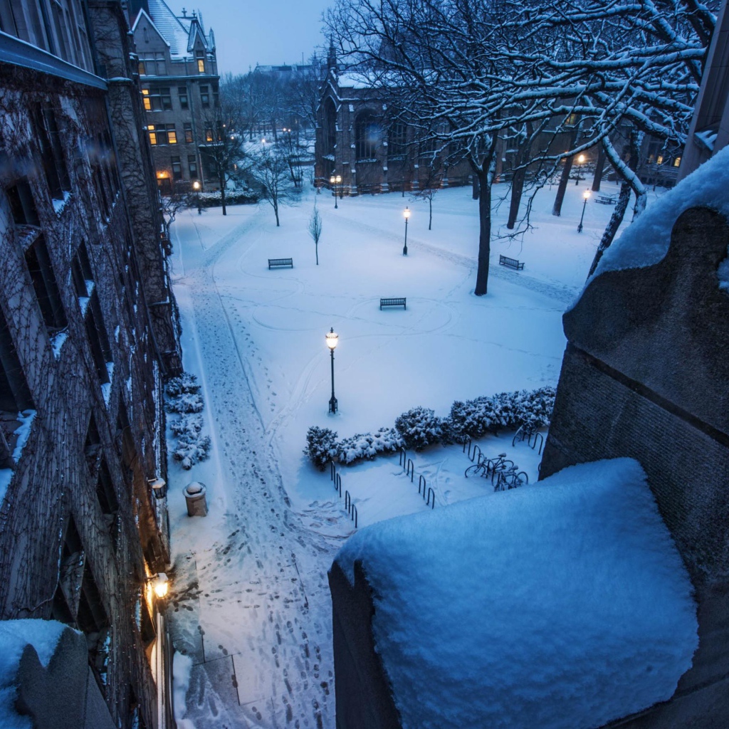 Заснеженная улица