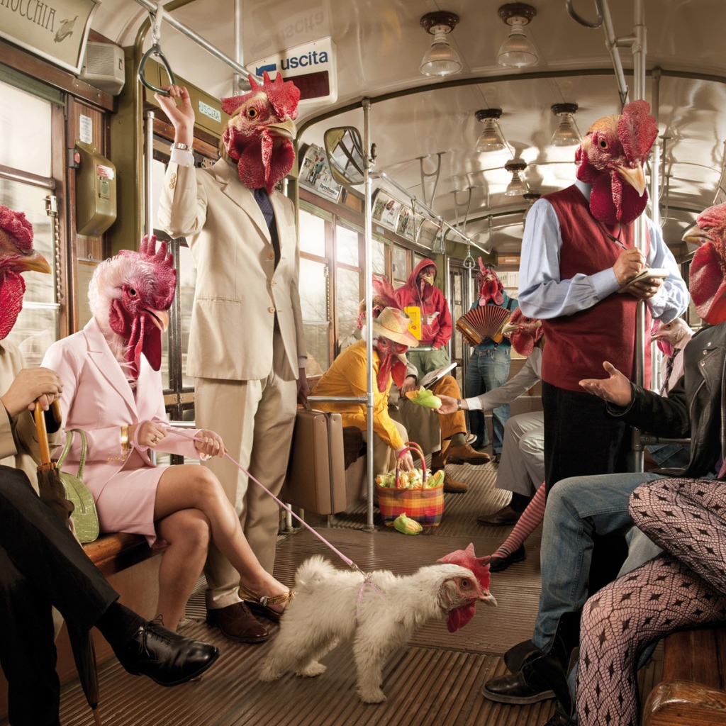 Люди курицы