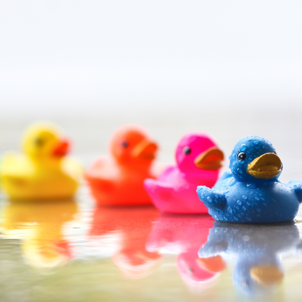 Разноцветные уточки