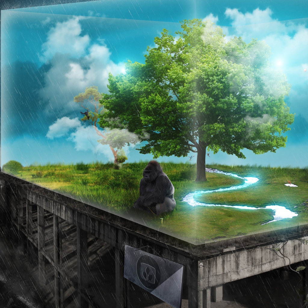 Последняя надежда