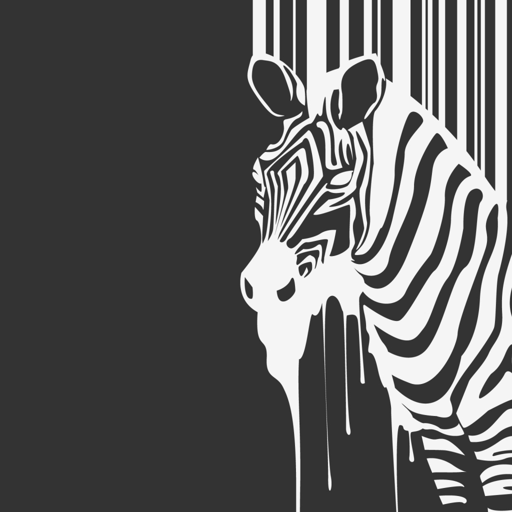 Черно-белая зебра