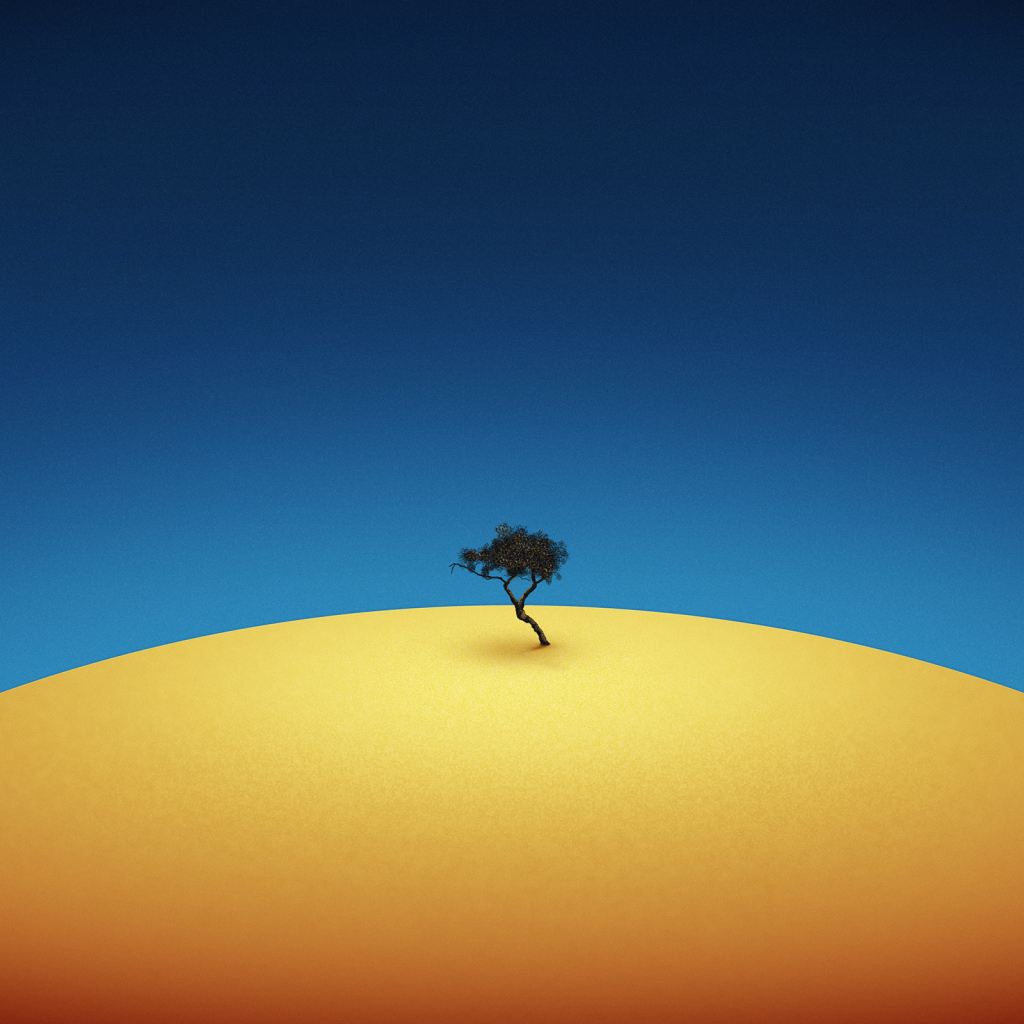 Одинокое дерево