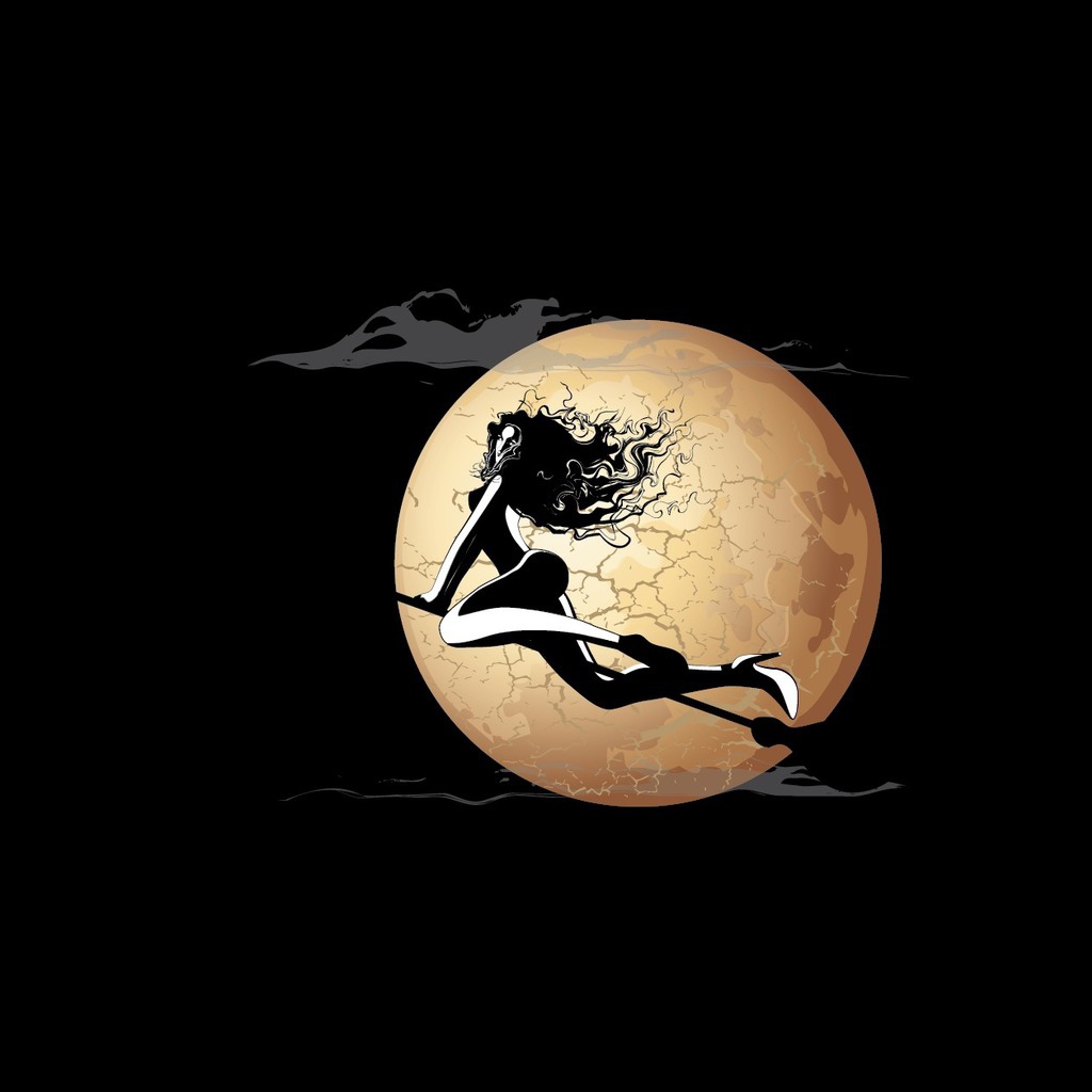 Ведьма на метле