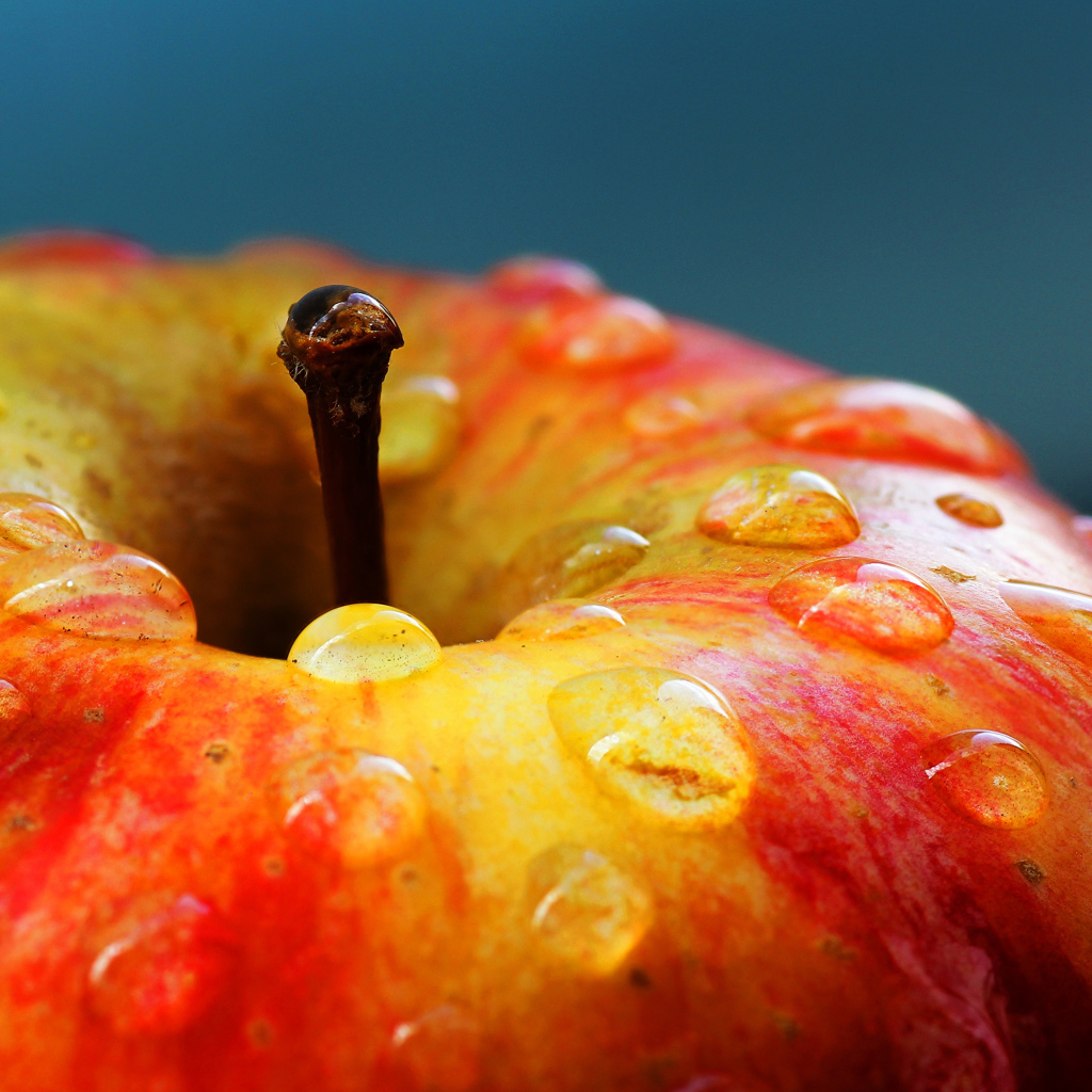 Мытое яблоко