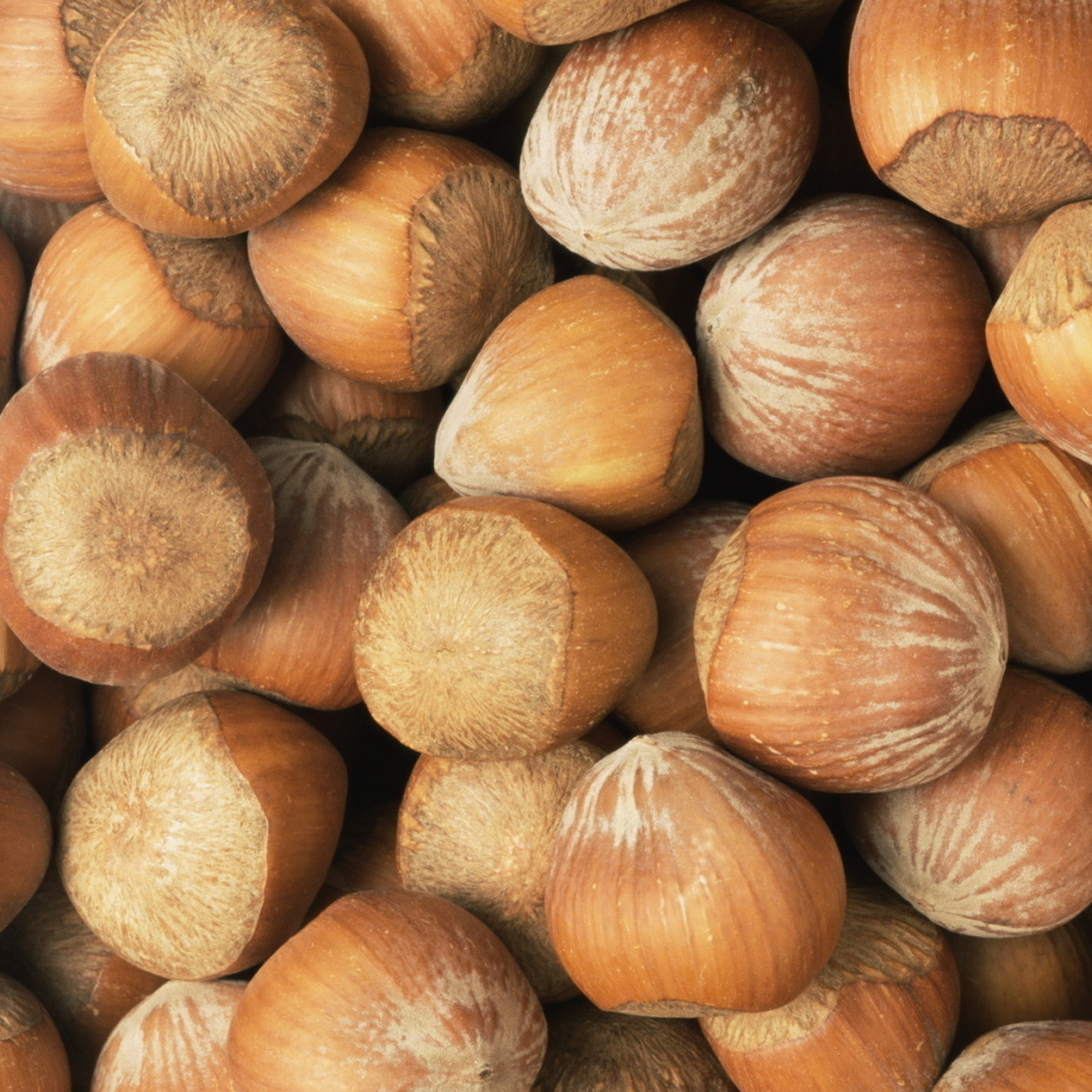 Лесные орехи