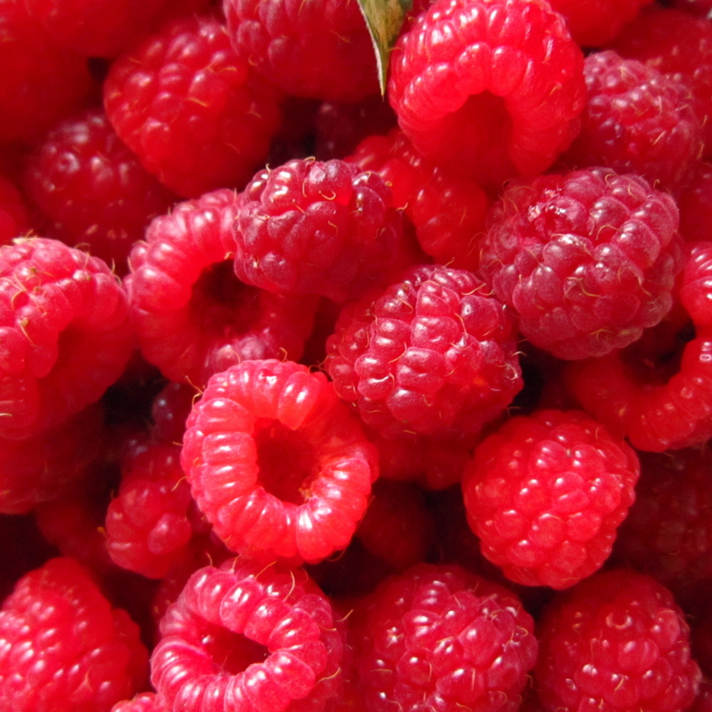 Спелая малина