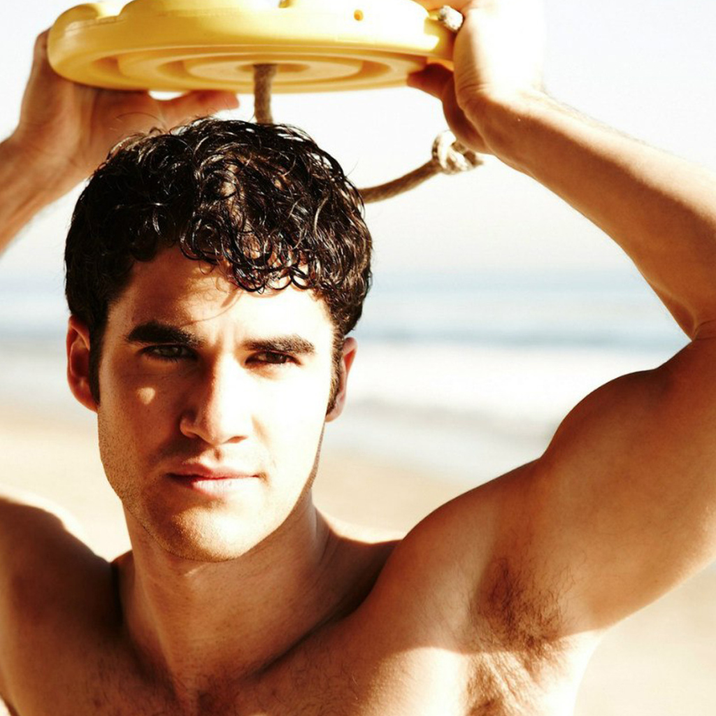 Даррен Крисс (Darren Criss)