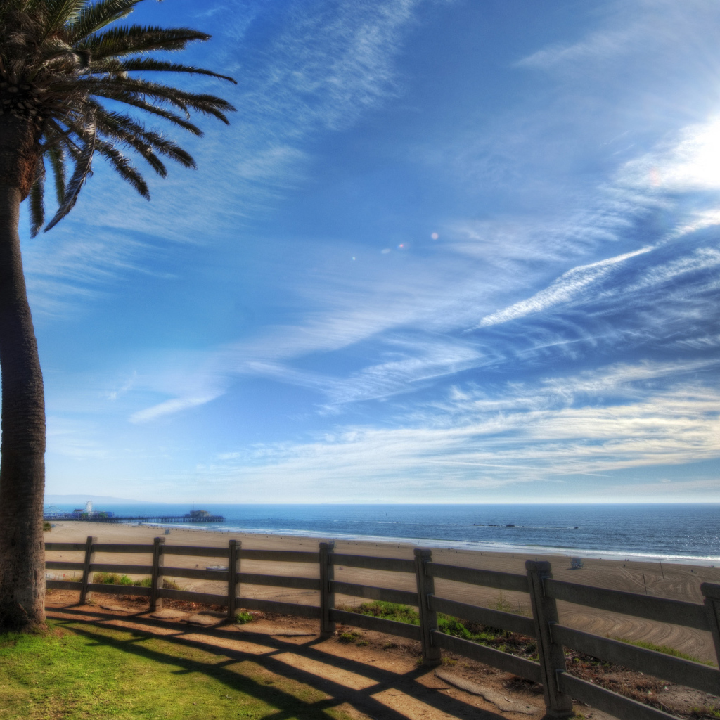 Пальма на берегу