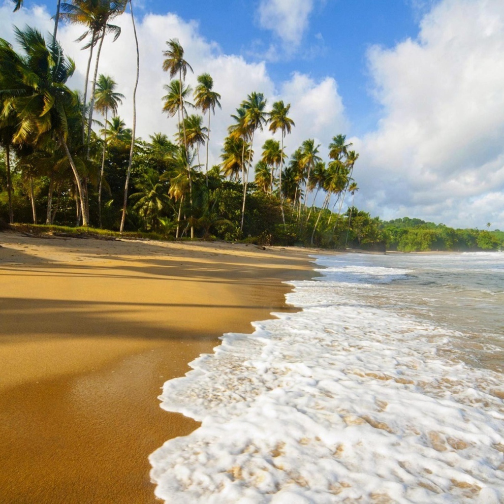 Пальмы и пляж