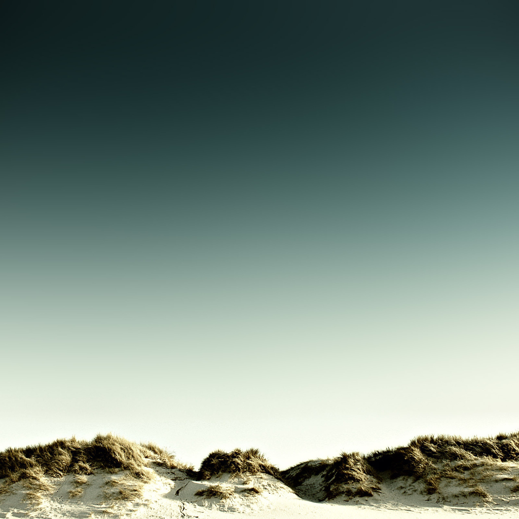 Песочные дюны на пляже