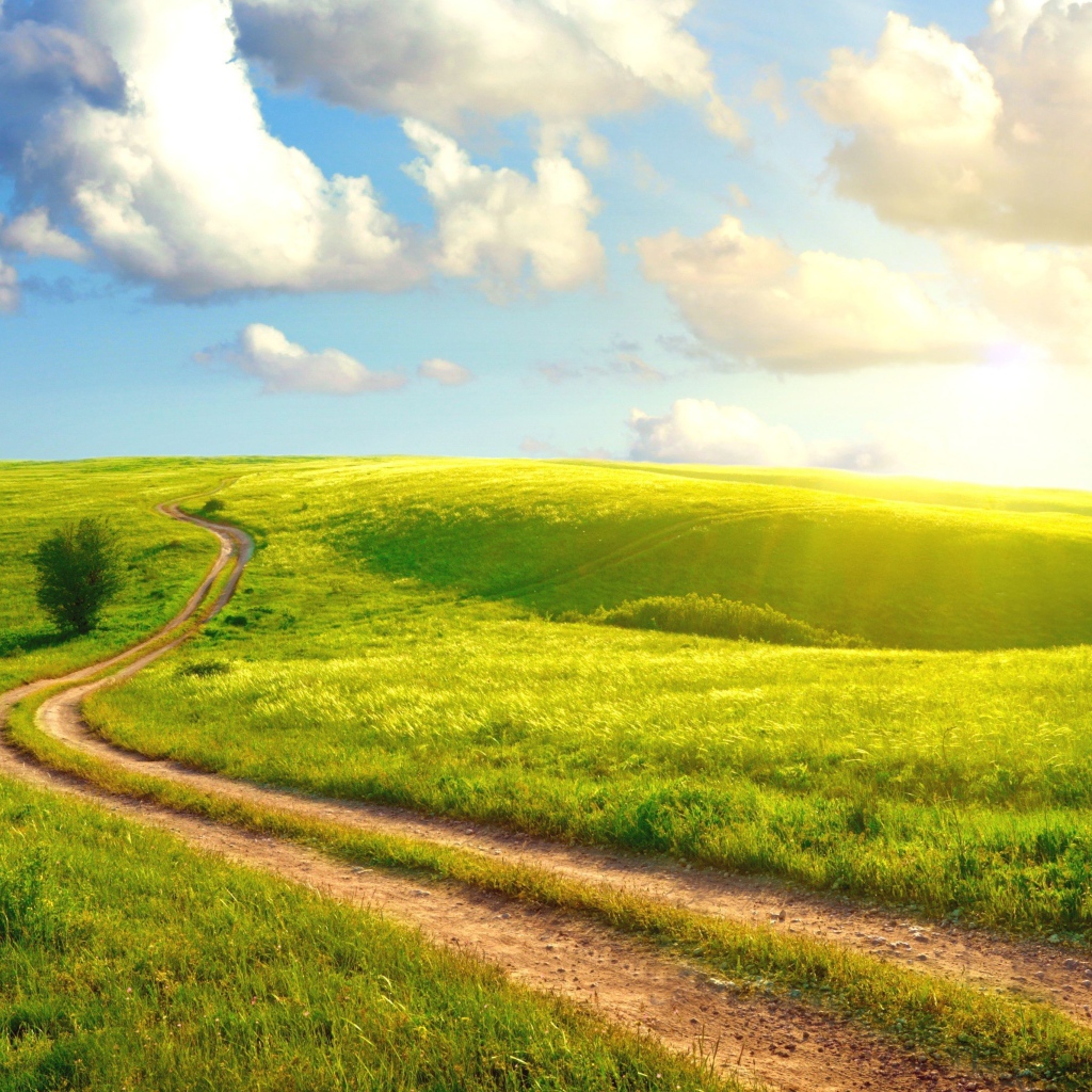 Солнечный день