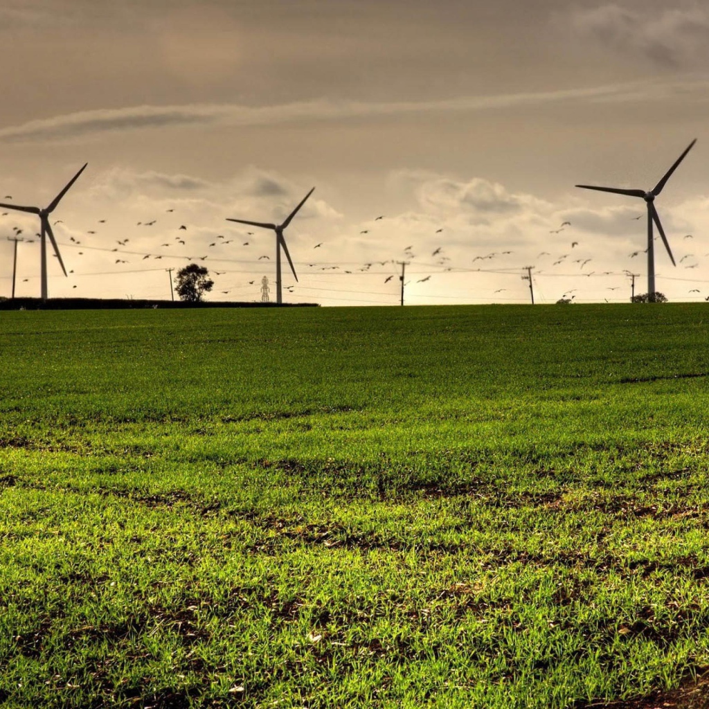 Турбины в полях