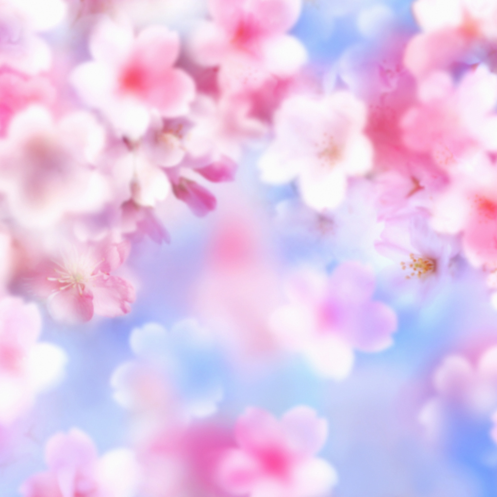 Розовые цветочки