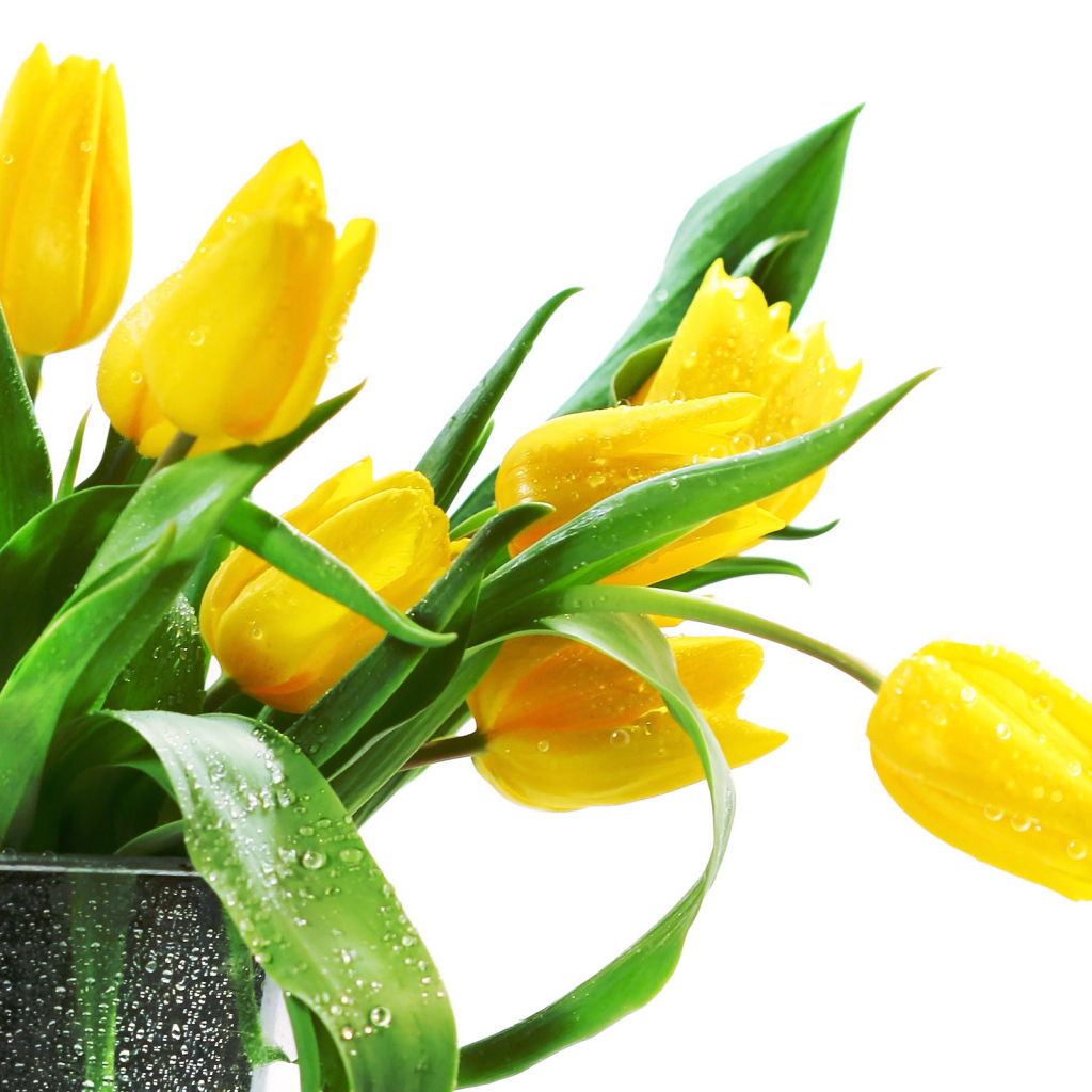 Желтые тюльпаны в вазе