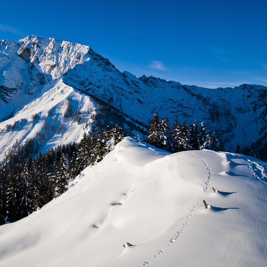 Утро в горах