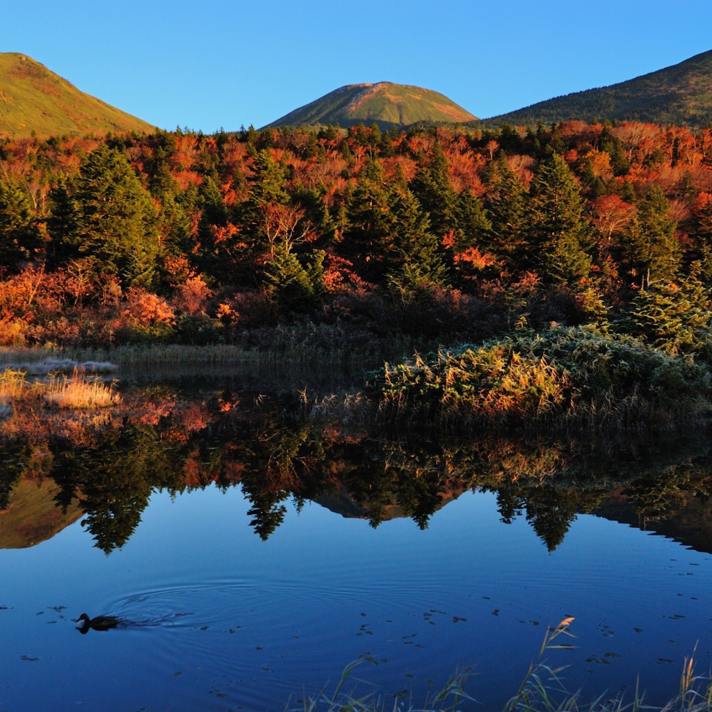 Горы у озера