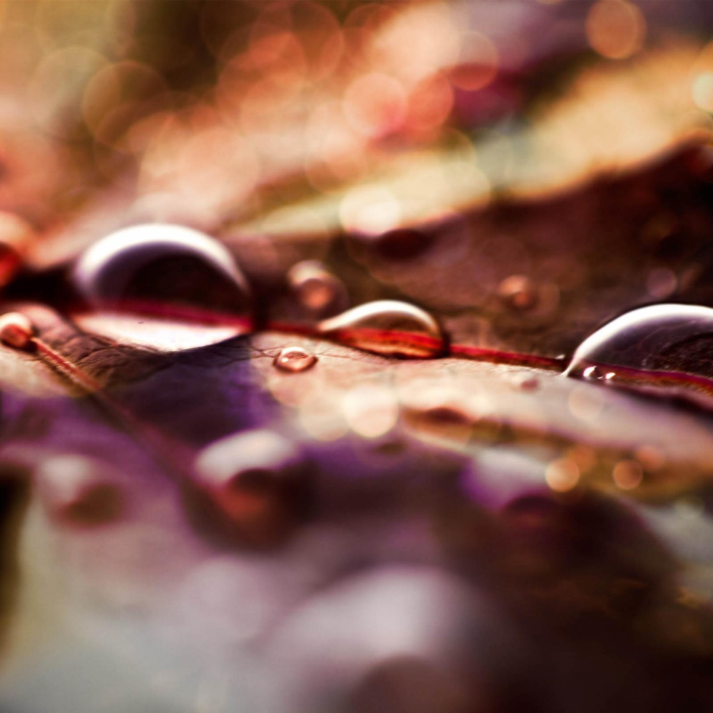 Капли на листке