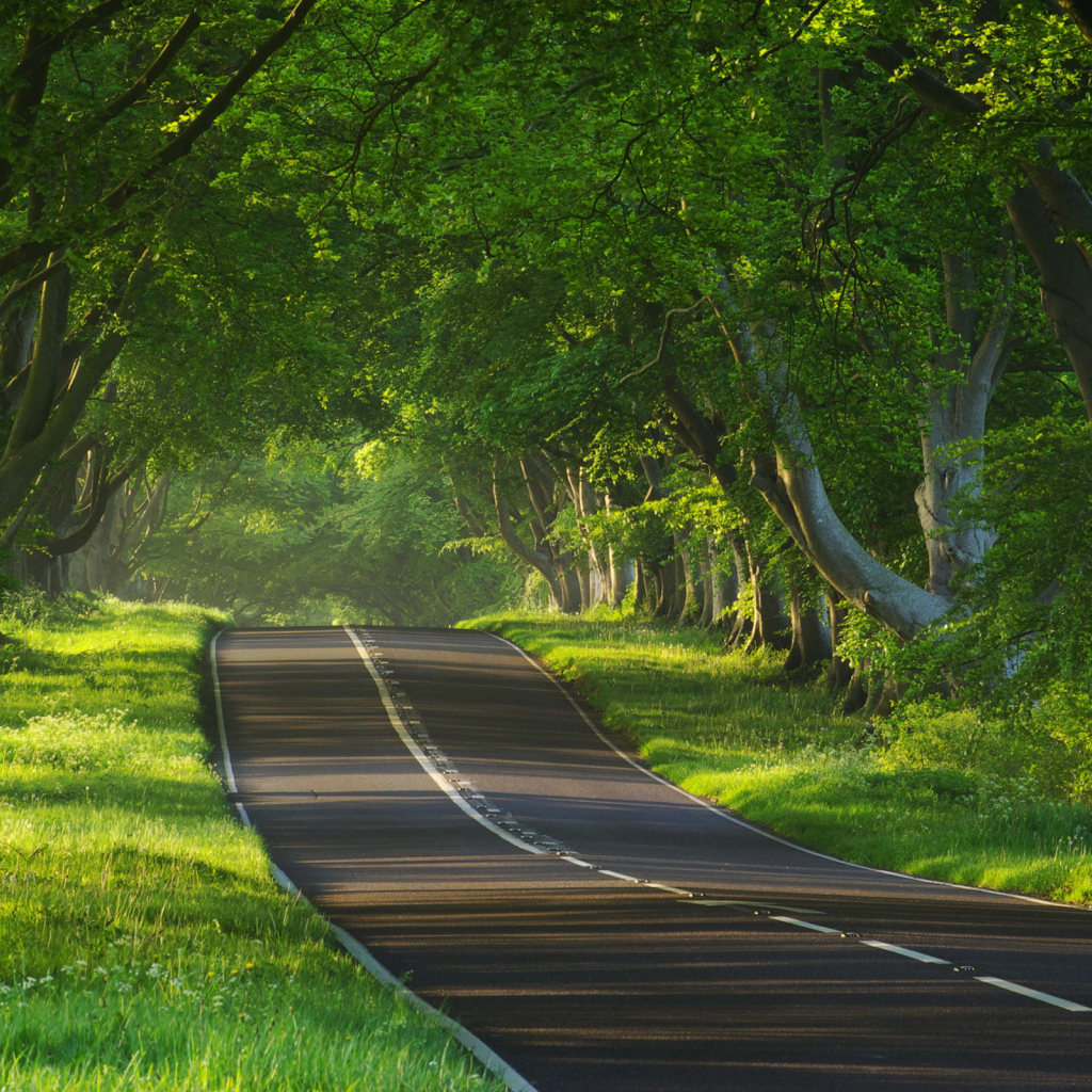 Дорога через тропики