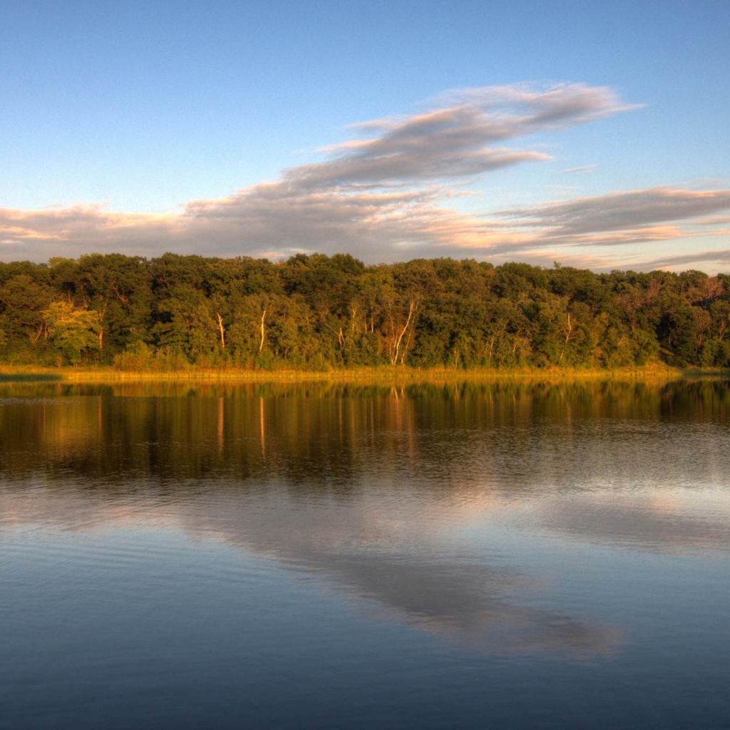Озеро у леса