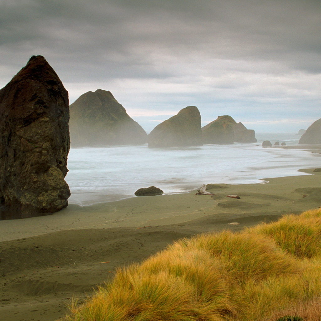 Морское побережье