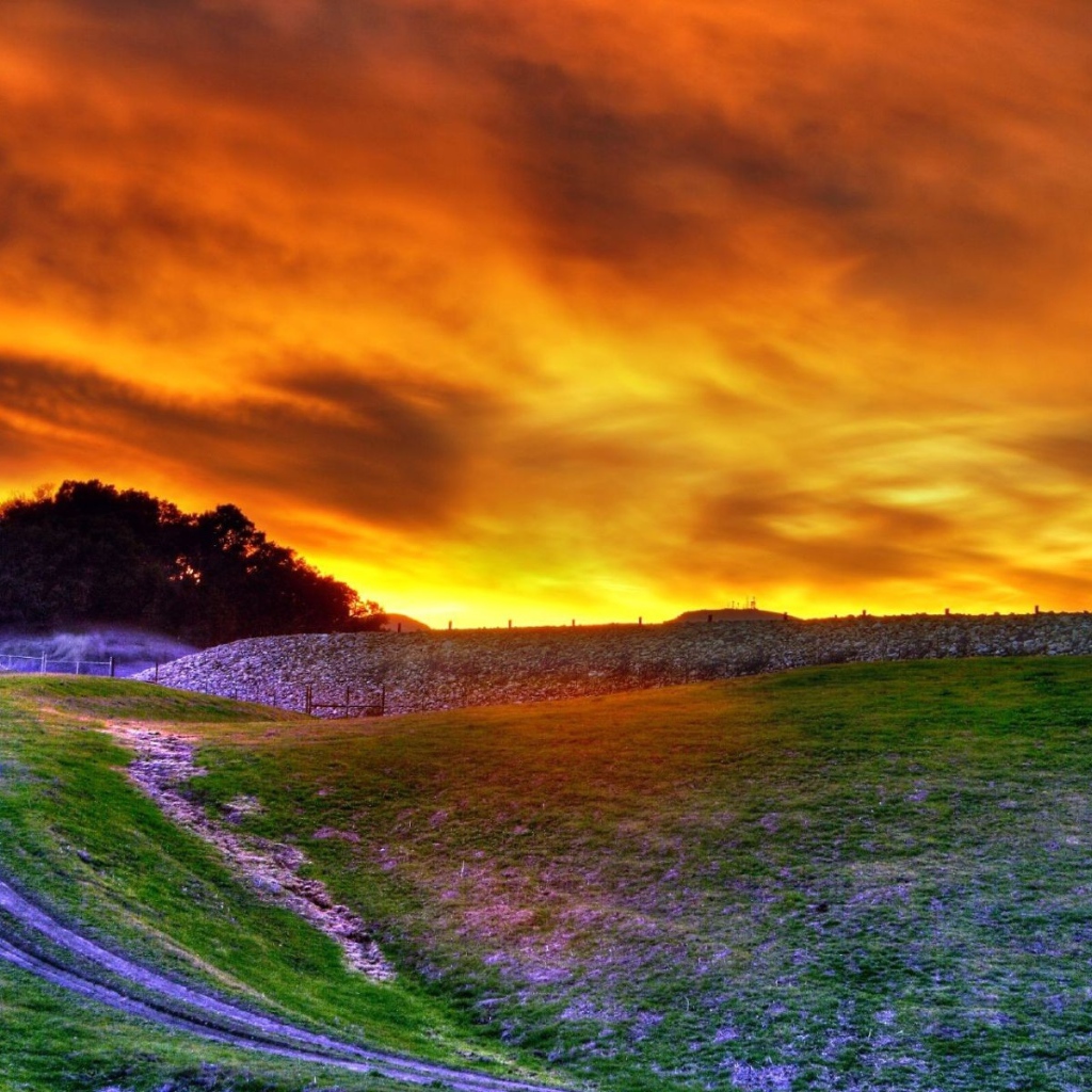 Поле на закате