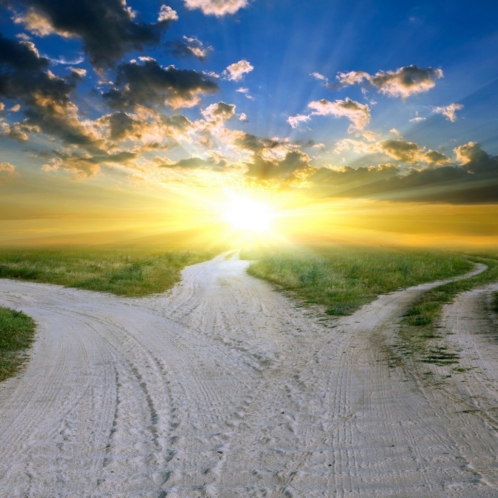 В чистом поле