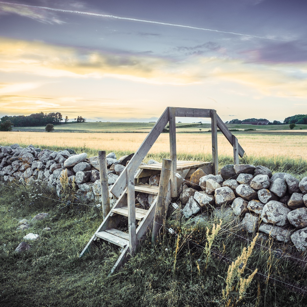 Лестница в поле