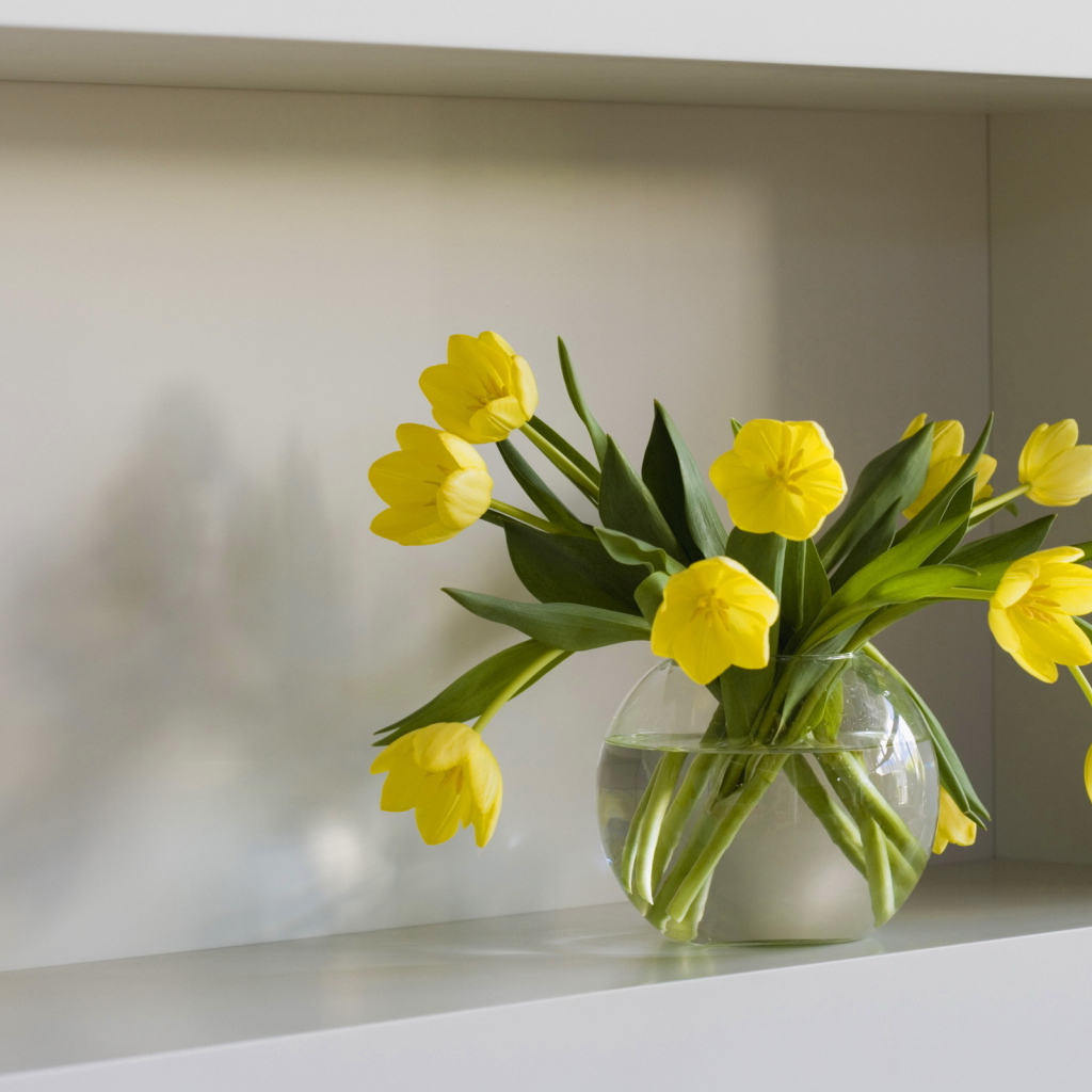 Желтые тюльпаны