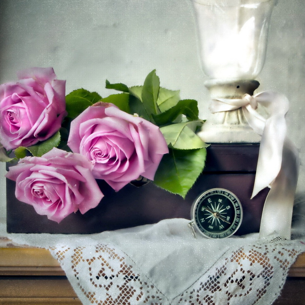 Лиловые розы