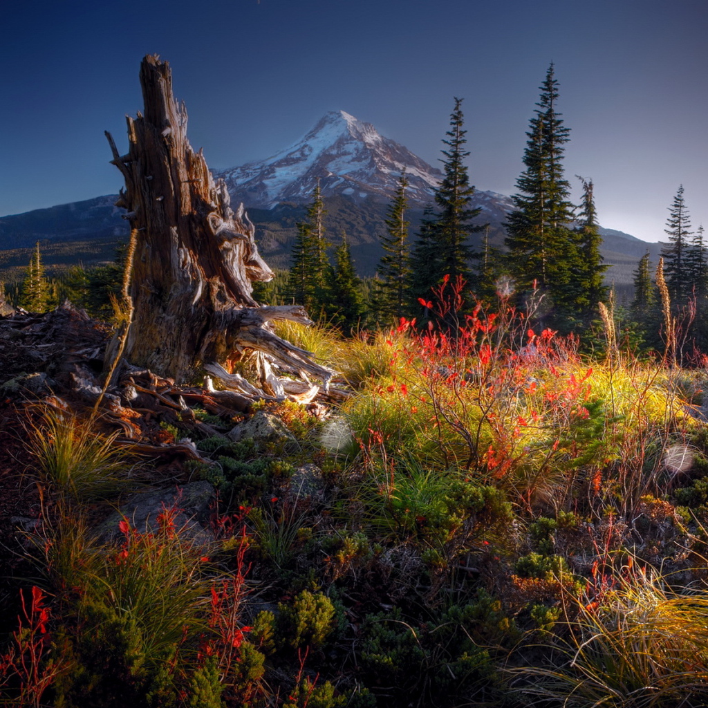 Гора на горизонте