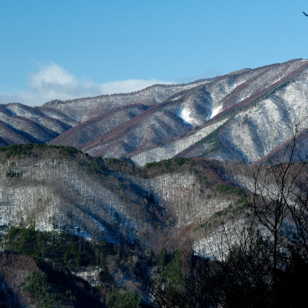 Заснеженные горы