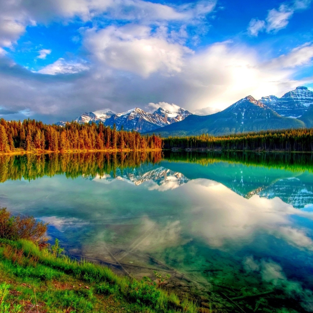 Красивый пейзаж