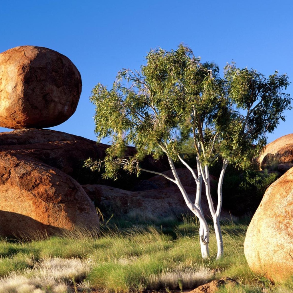 Круглые валуны
