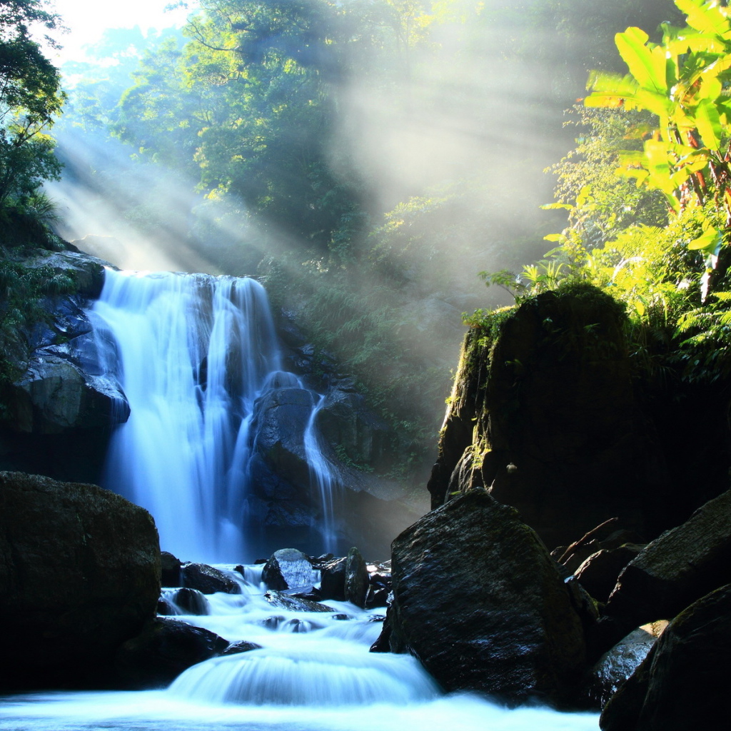 Речка в лесу