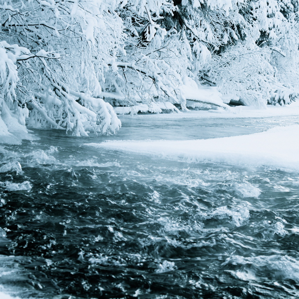 Зимняя река