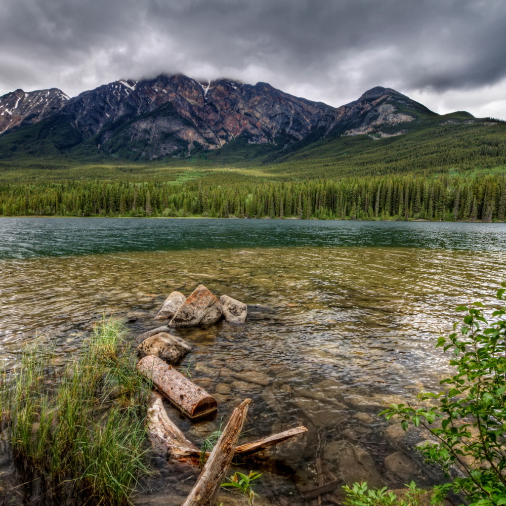Каменистая река