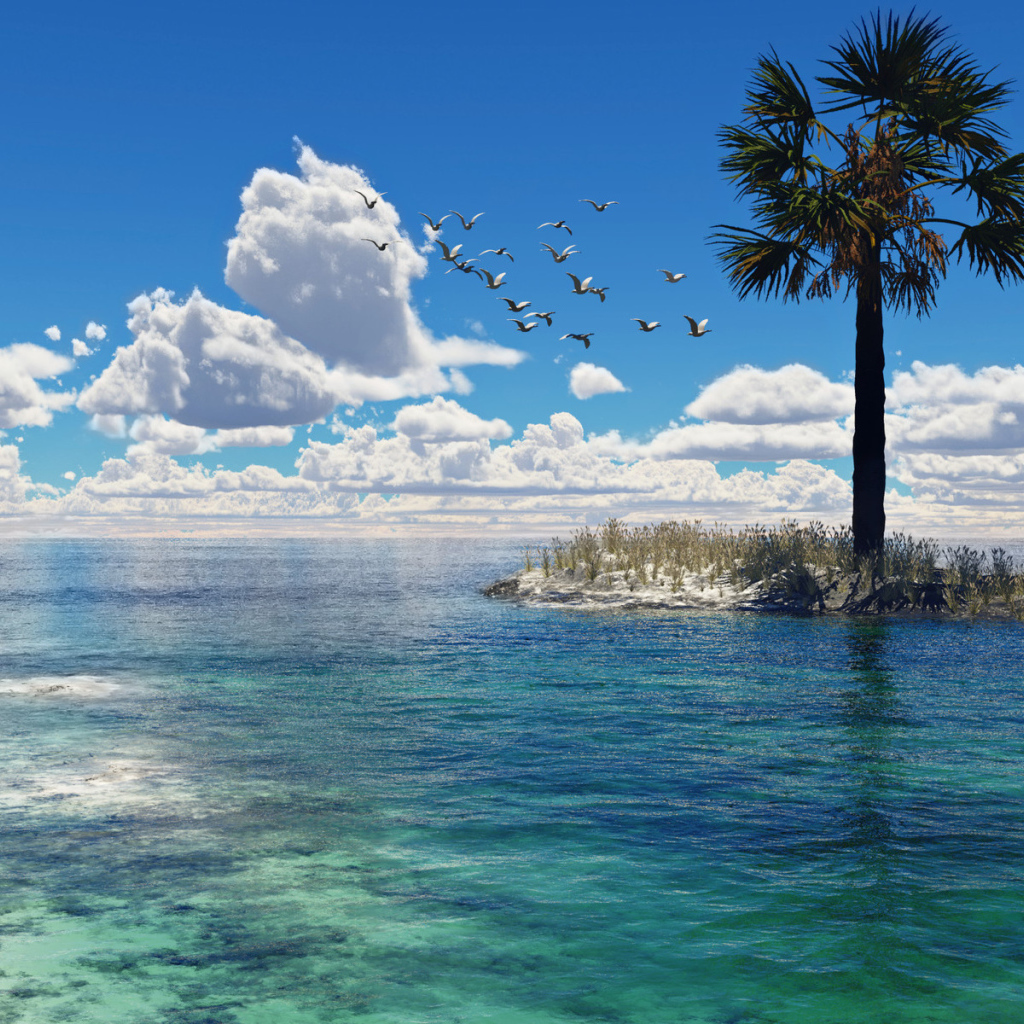 Чайки над морем