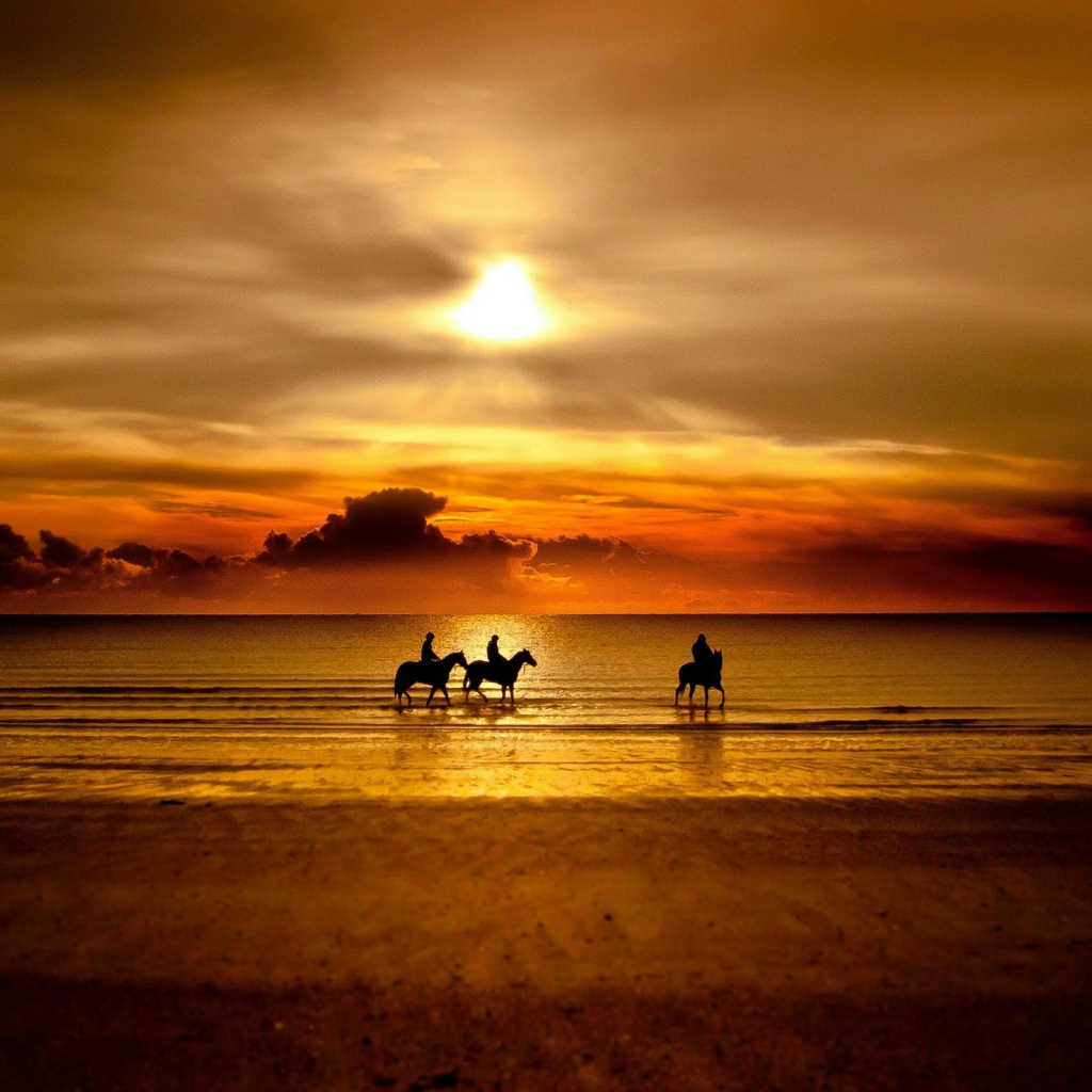 Прогулка на лошадях