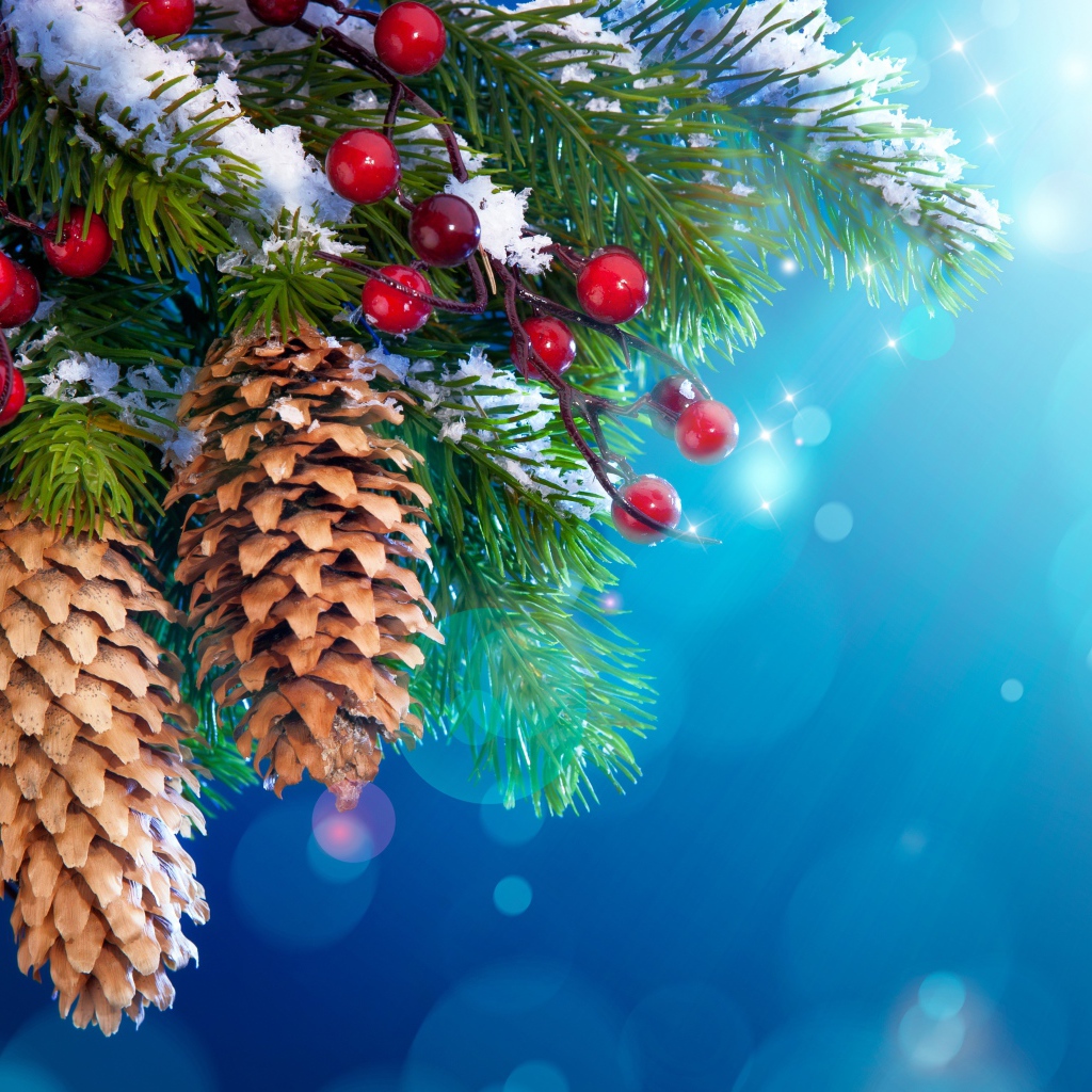 Ягоды и шишки на елке