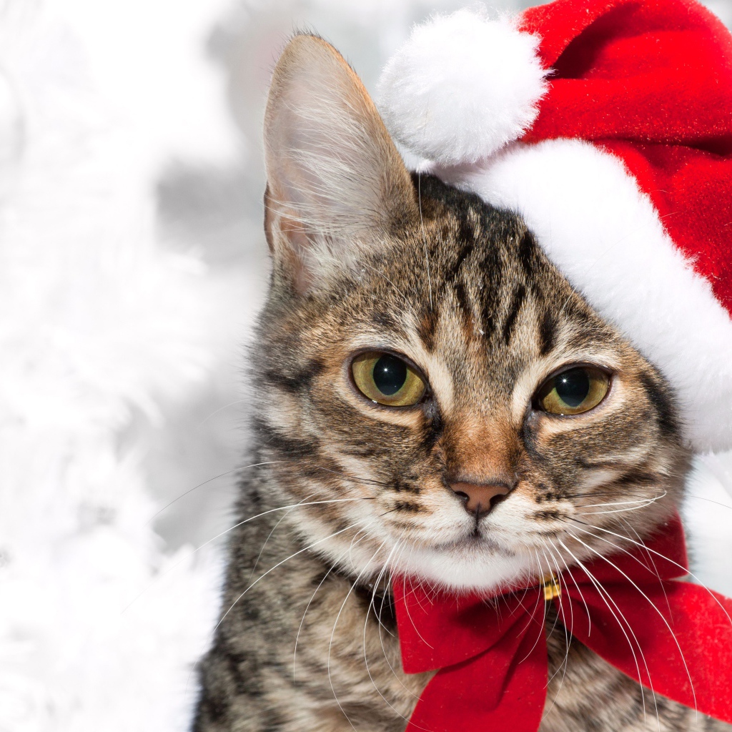 Новогодняя кошка