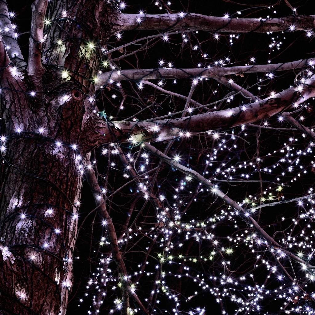 Гирлянды на дереве